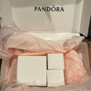 Pandora bracelet with charms